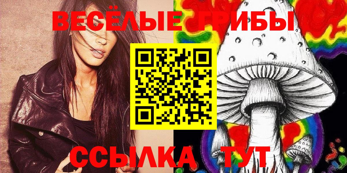 Галлюциногенные грибы Psilocybe Пыть-Ях